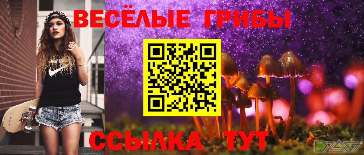 Галлюциногенные грибы Cubensis  закладка  Домодедово  Псилоцибиновые грибы ЛСД  Вход с VPN 