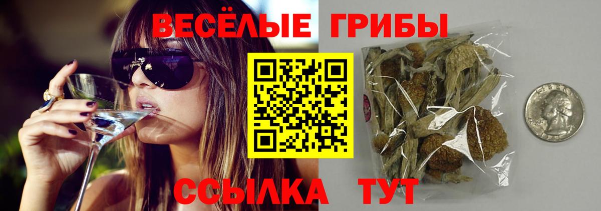 Псилоцибиновые грибы ЛСД Домодедово
