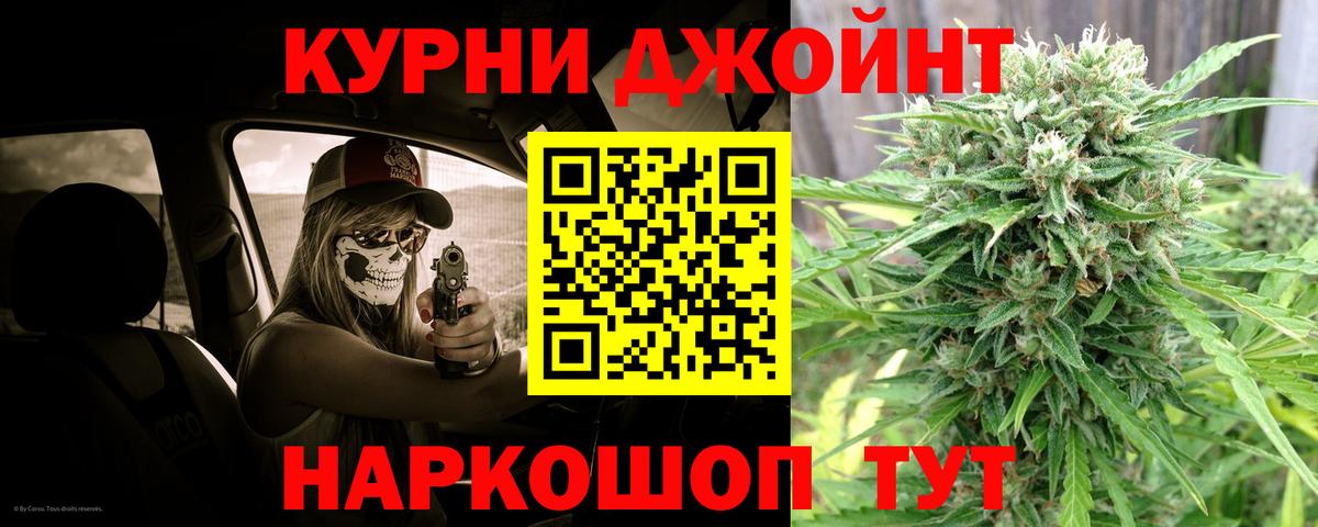 Каннабис сатива Домодедово